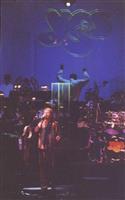 Live Shots